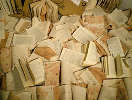 Books, by Danielle Sims