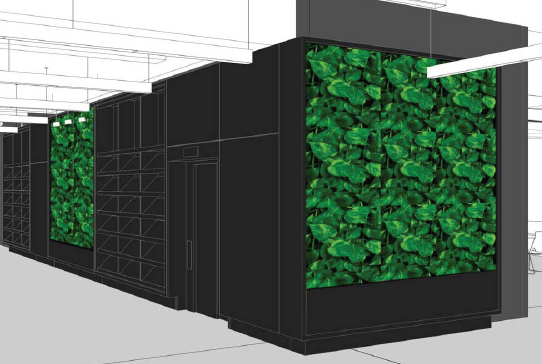 Living wall of plants