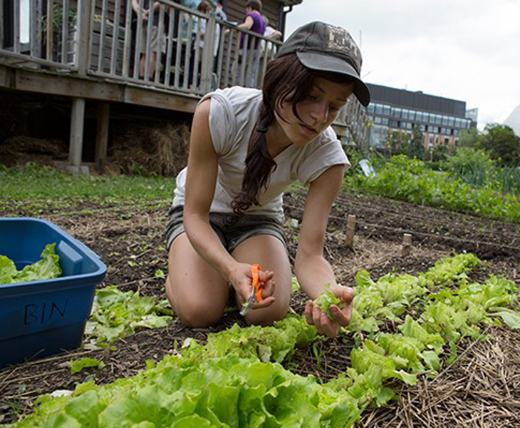 Sustainability Research Guide created to support research, teaching and learning 
