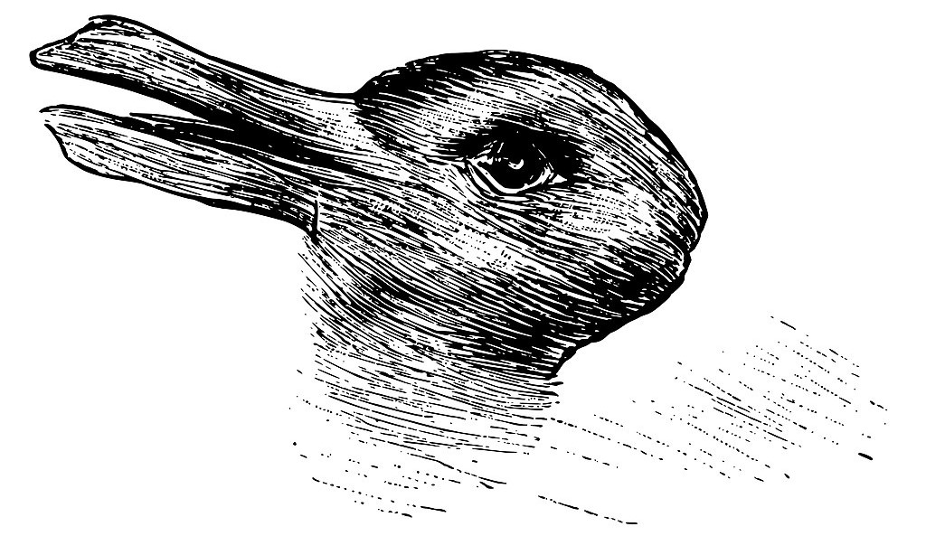 An image of a drawing of a rabbit's head / a duck's head which is drawn to look like either at the same time depending on how your brain chooses to identify it. 