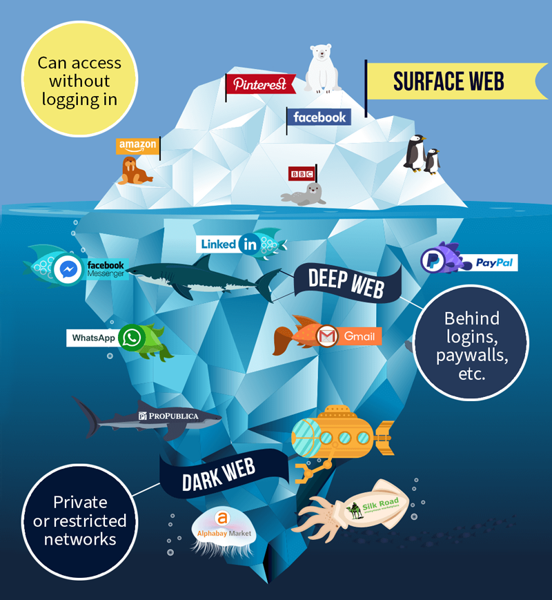 This is a digital drawing of an iceberg used as an analogy for the surface, deep and dark web. Above water, with a cartoon polar bear and penguins, are flags with the logos for amazon, pinterest, facebook... These are websites which can be accessed (at least in part) without logging in. Under the the water, labeled deep web, you have websites requiring accounts or with paywalls, like linkedin, gmail, whatsapp, messenger, or paypal. The dark web label, which correspond to private or restricted networks, is at the level of the submerged bottom of the iceberg, and has animals with the logos for propublica, silk road or alphabay next to a submarine. 