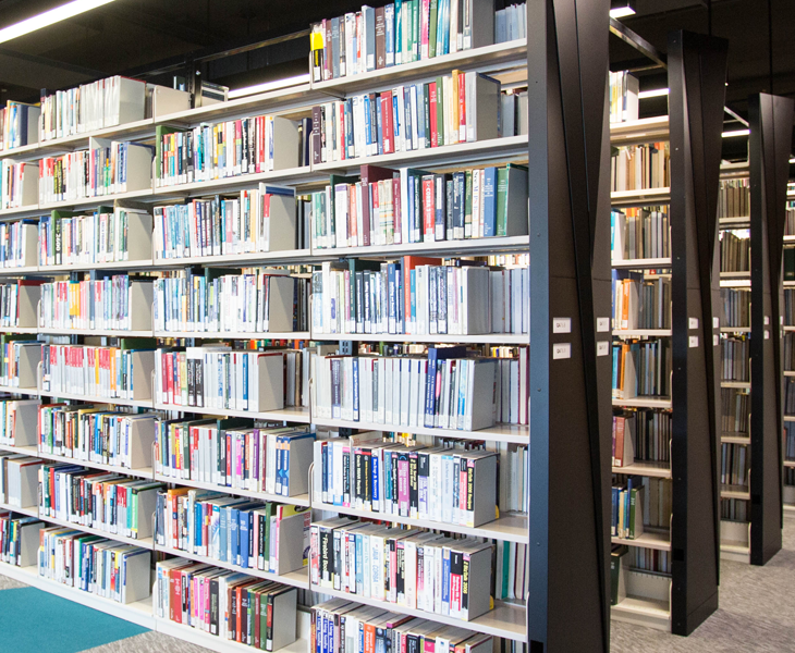 Books on shelving at the Webster Library