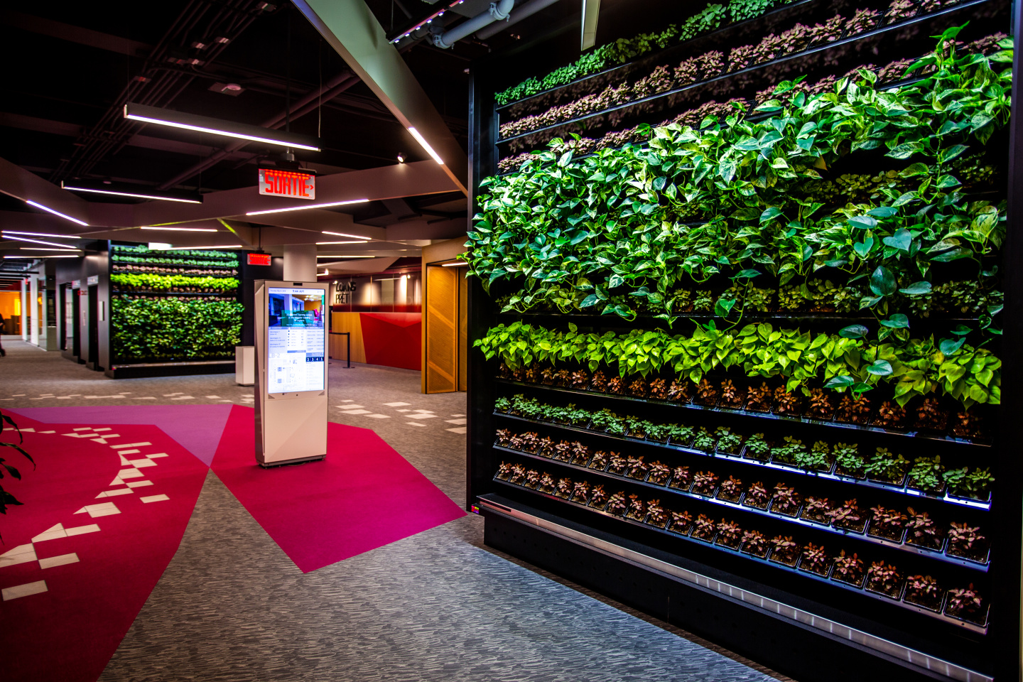 Library entrance with pink, white and gray geometric pattern carpet, wall of plants