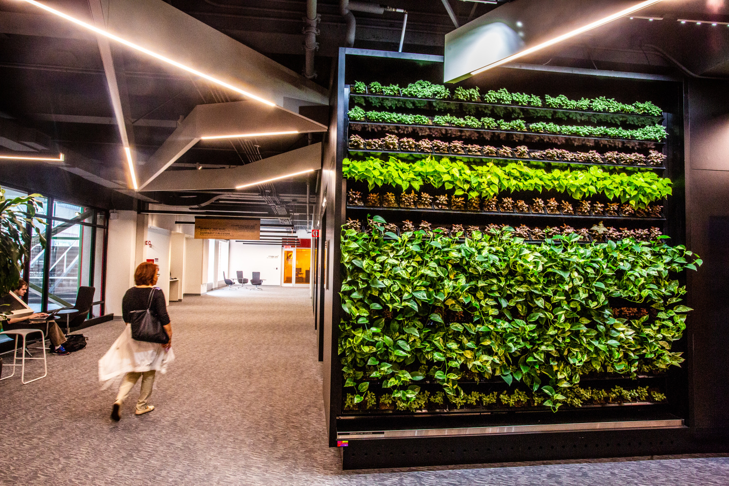 Student walking past living wall